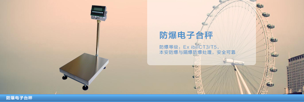 防爆臺秤